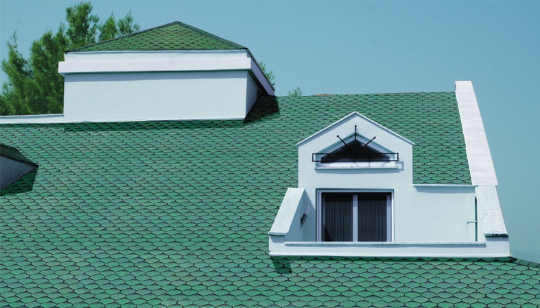 Küçükyalı profesyonel mansard Çatı – Shingle cati örneği